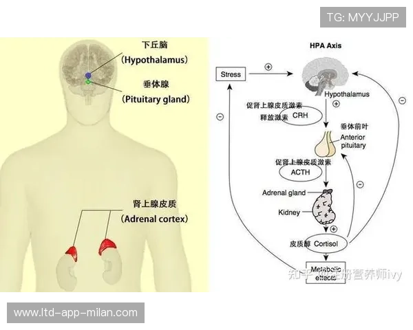 心理健康机构与体育组织共同设计青少年运动干预方案 心理健康机构与体育组织共同设计青少年运动干预方案